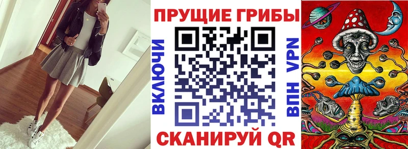 Псилоцибиновые грибы Cubensis  Иннополис 